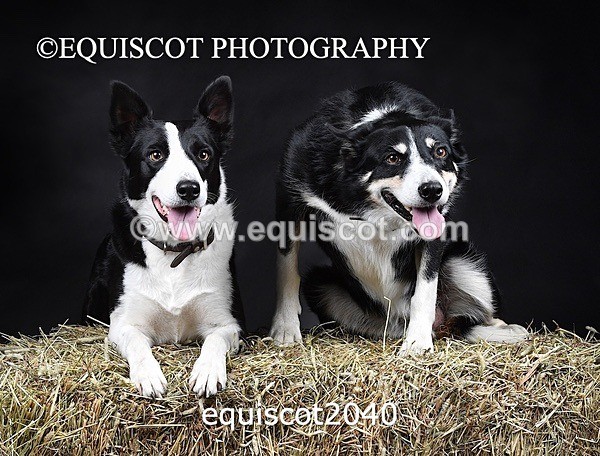 equiscot2040 - SKY & NELL