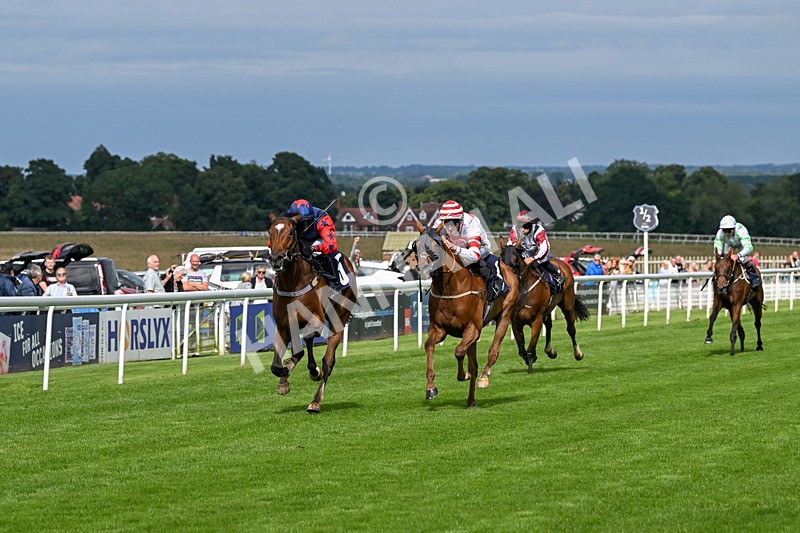 160724-Race 5-Believitanducan-9225 - Race 5