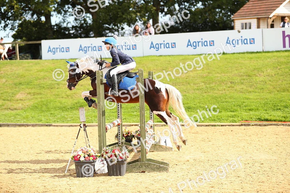 SBM_66224 - J17 - Junior Pony 80cm Championship