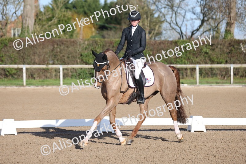 20260128-0175 - Class 3 - Novice 4