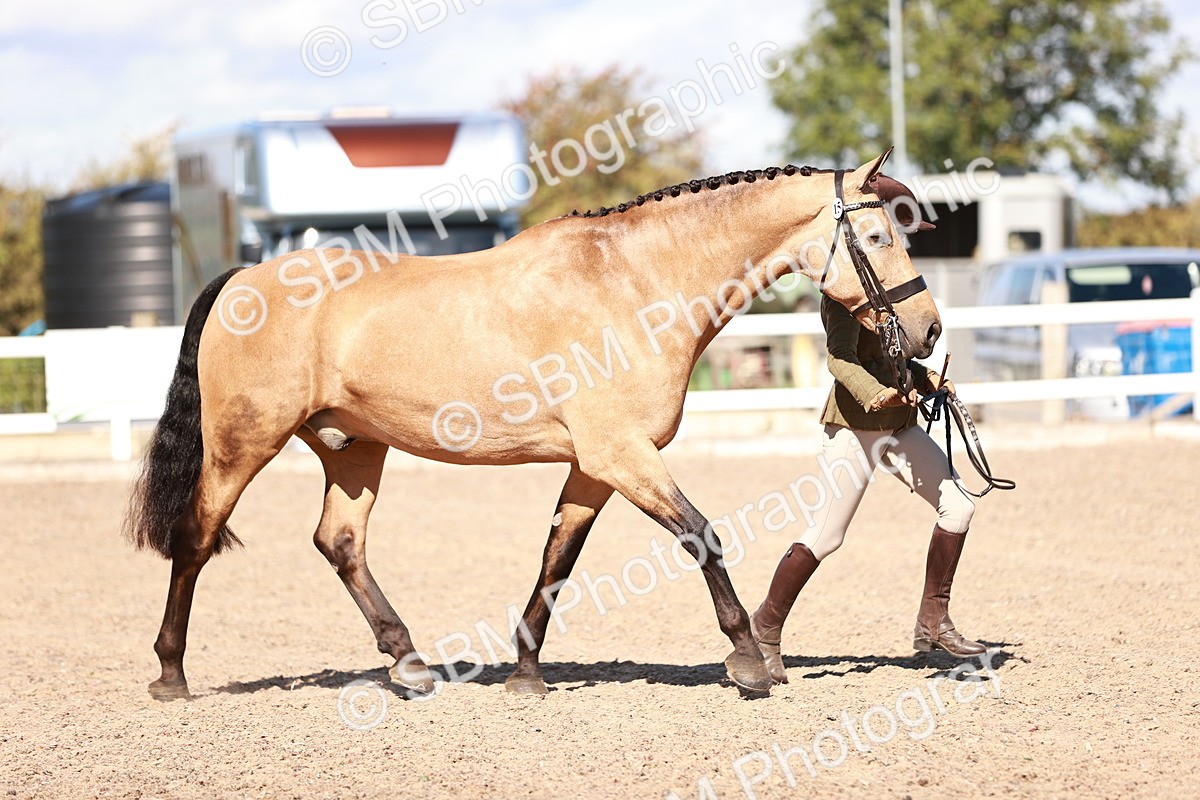 SBM_13301 - class 406 - IH Hunter