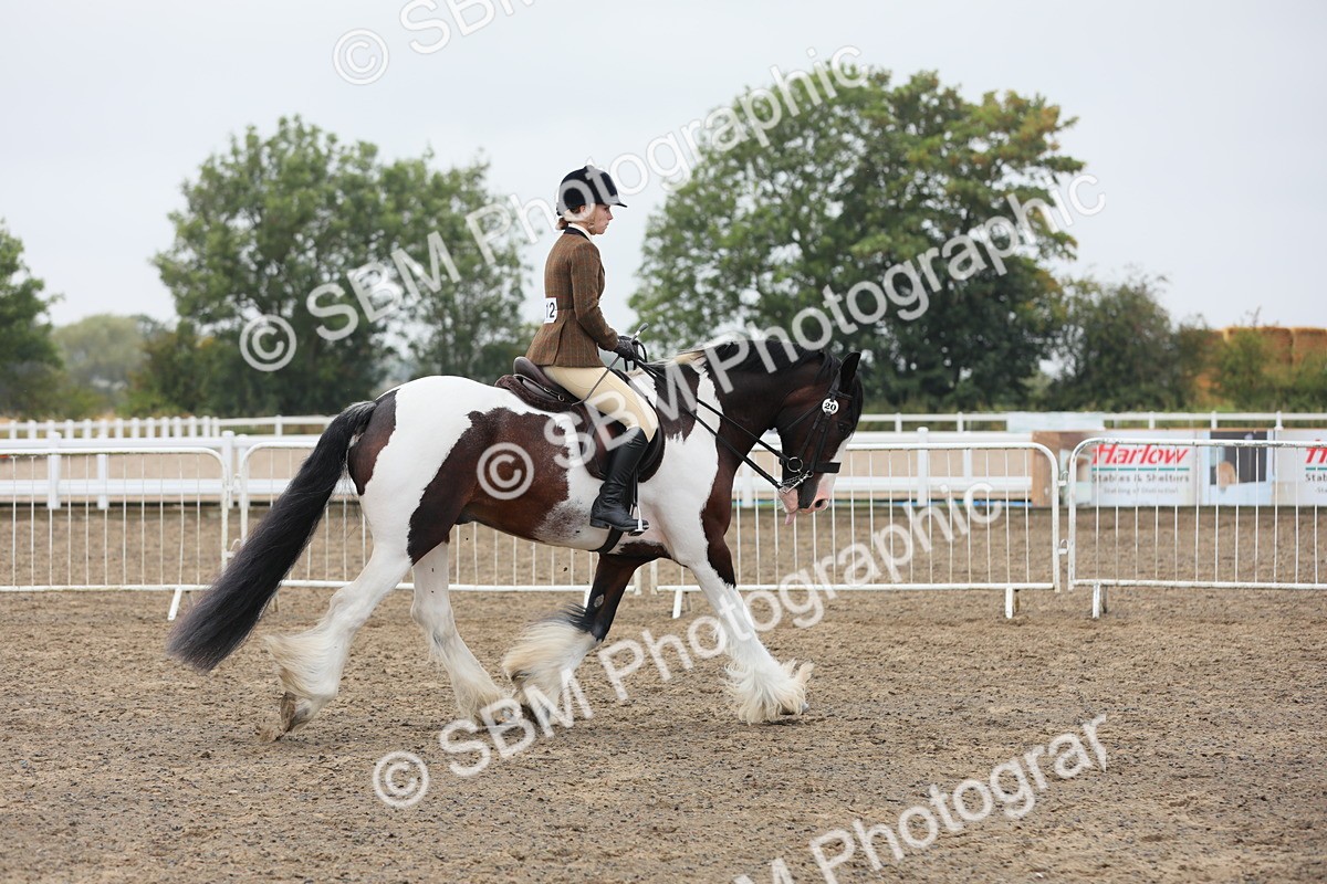 SBM_22289 - Class 807 - Young Rider 11 to 16 Yrs
