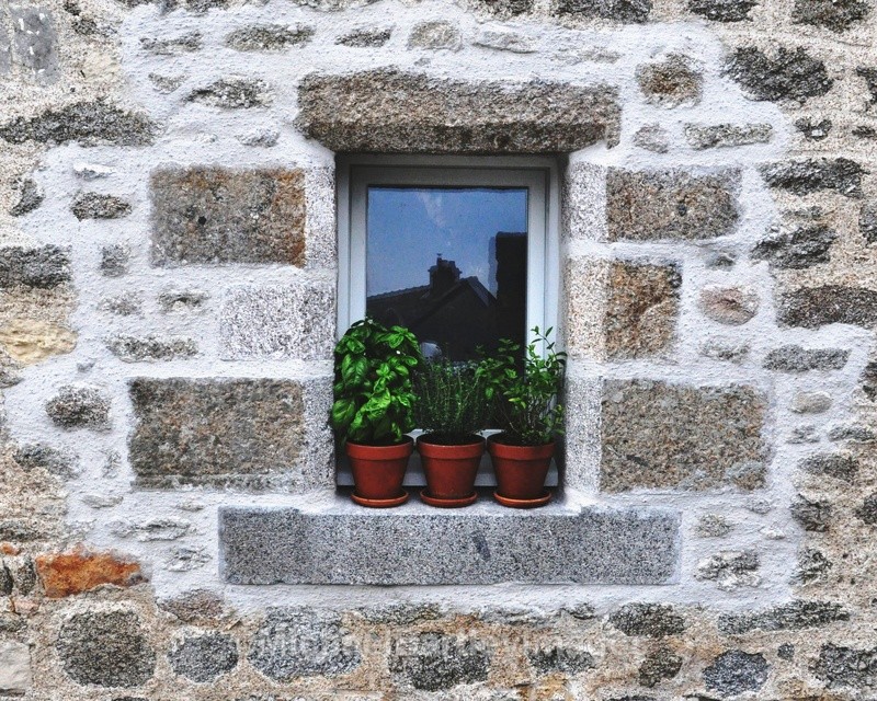 Man in Window - Cool Shots