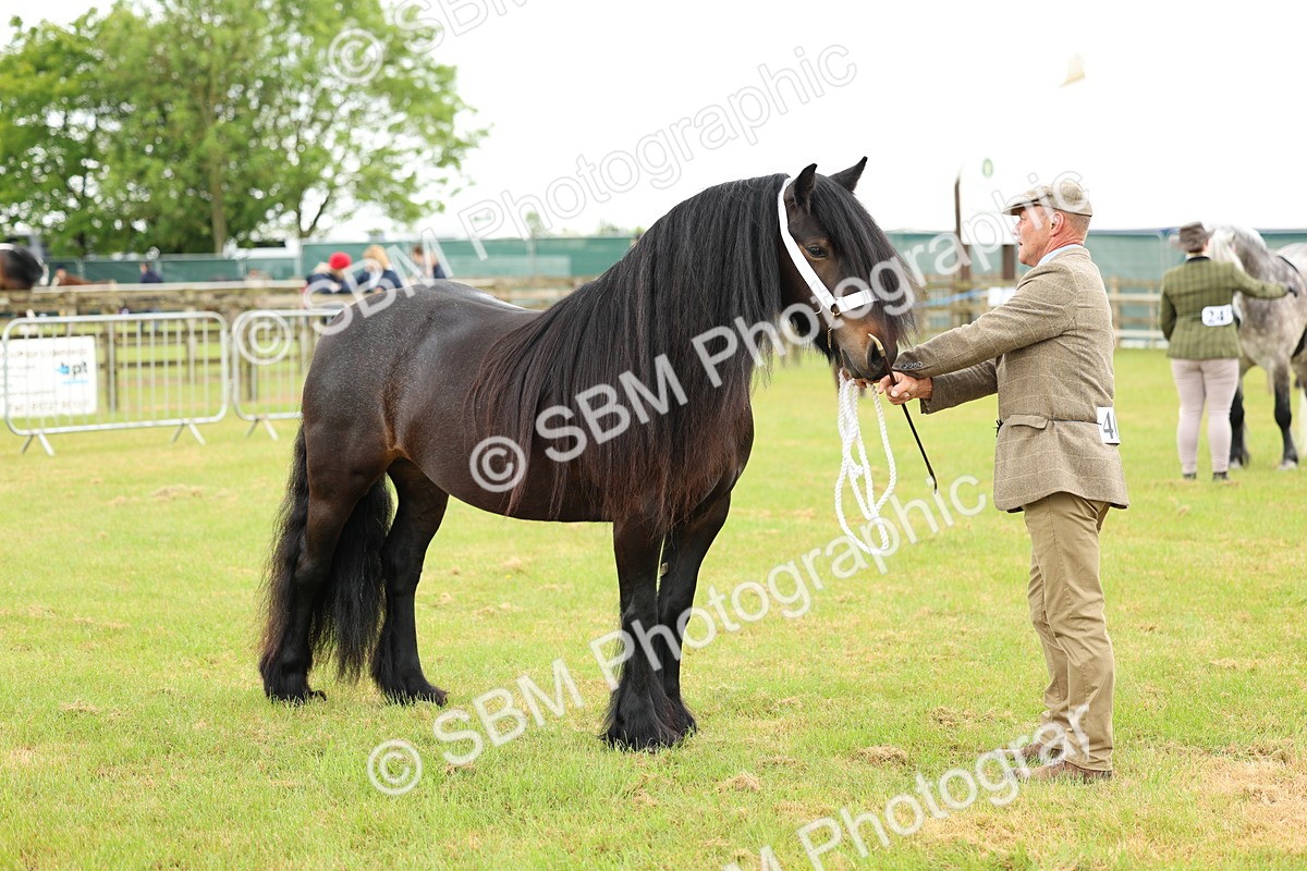 SBM_00516 - Class 58-67 - M&M Non Welsh Pony In hand