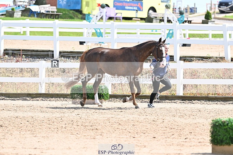 240717A-151412-02661 - Trot Up 3pm to 4pm