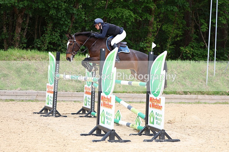 3E7A9587 - Class 9: Senior Foxhunter/1.20 open