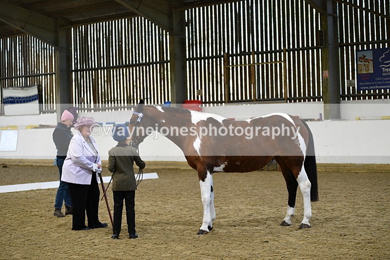 WJ5_3816 - Class 5 In Hand Veterans