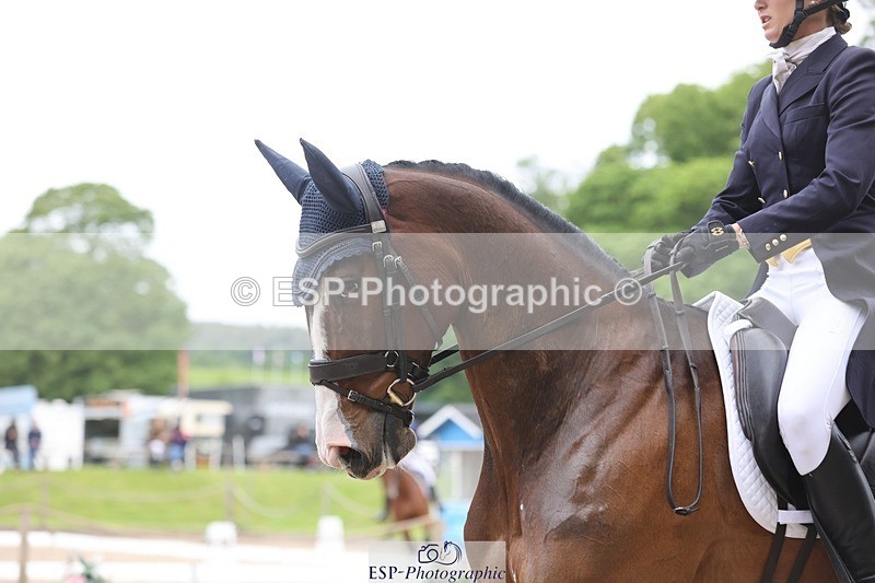 240523-104358-03392 - 214-DSH_GOLDEN_EYE-Lucinda_Mesquita