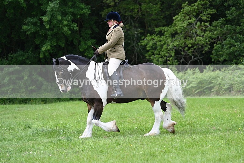 WJ7_2344 - Class 12A Coloured Class