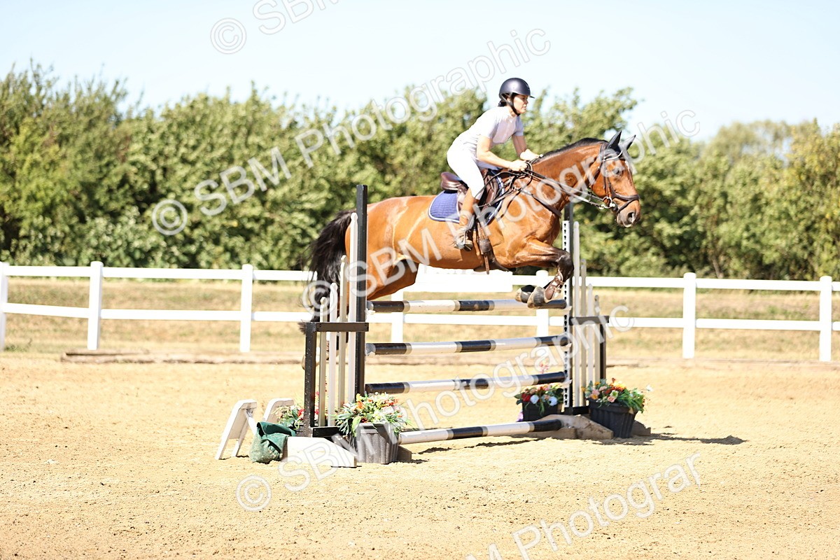 SBM_015512 - Class 16 - Senior foxhunter - 1.20m Open