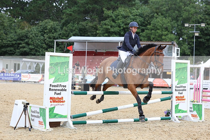 3E7A4784 - Class 4: Senior British Novice/90cm open