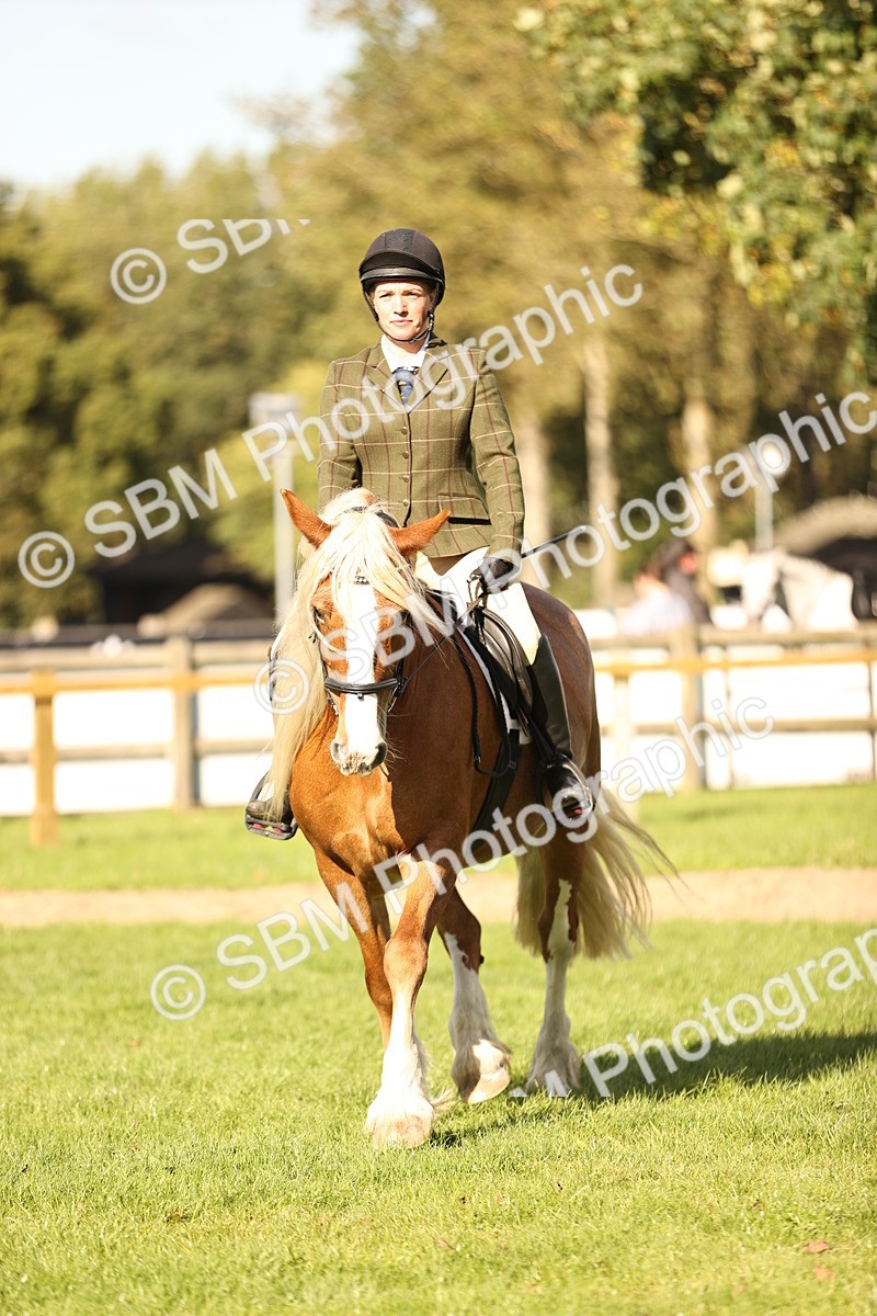 SBM_26404 - S6 - Novice & Newcomers Ridden Horse