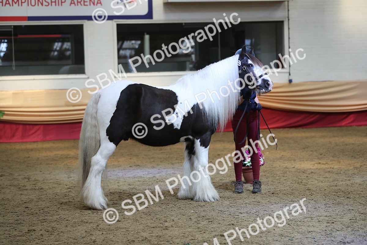 SBM_06226 - Class 9R Regional- IH Pre Vet
