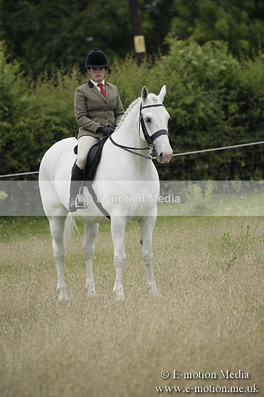 B230619-0794 - Bourne Valley Riding Club Summer Show 23/06/19