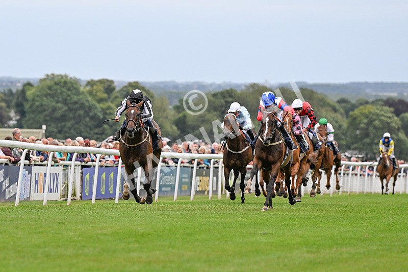 150824-Race 5-Pons Aelius-4278 - Race 5