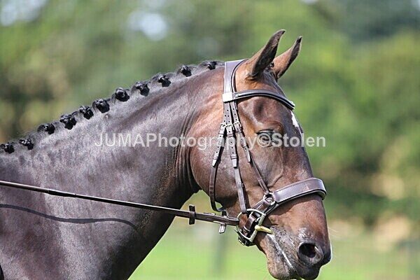 SIAL6706 - Ring 1 & 3