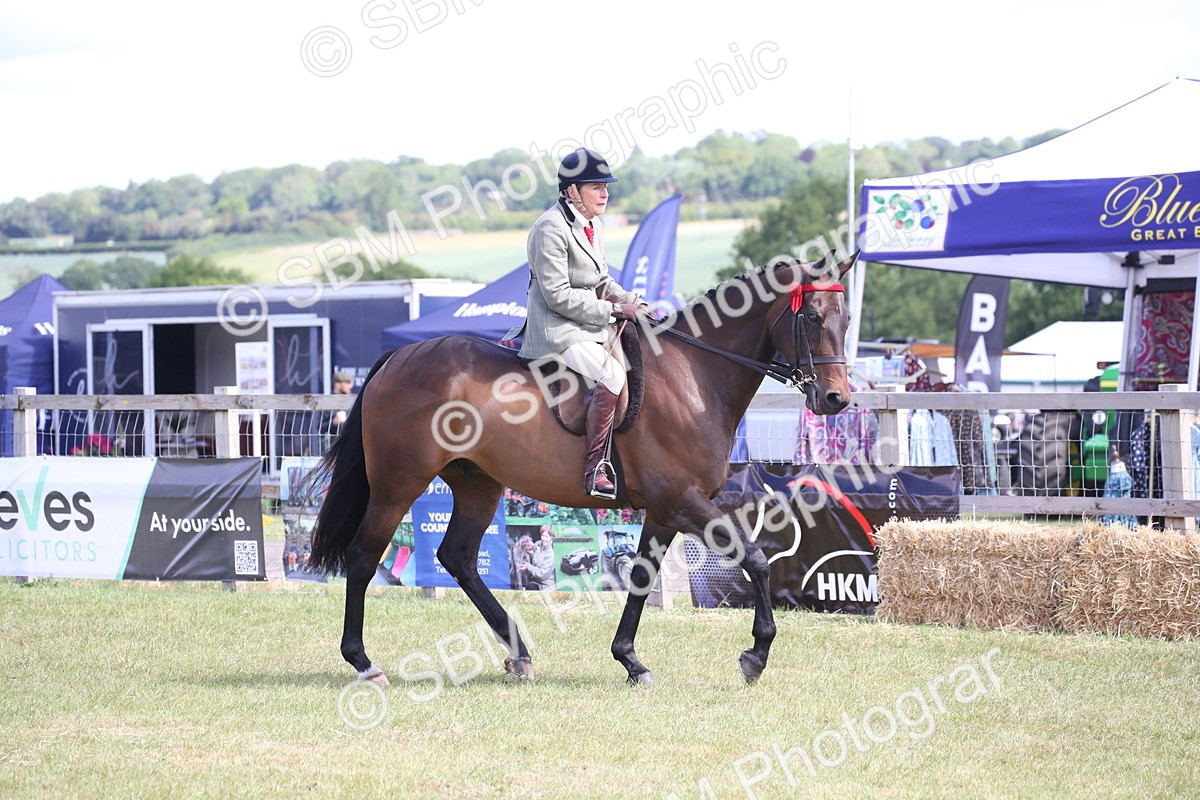 SBM_13310 - Class 95-96 - LIHS BSHA Rising Star Hack Riding Horse