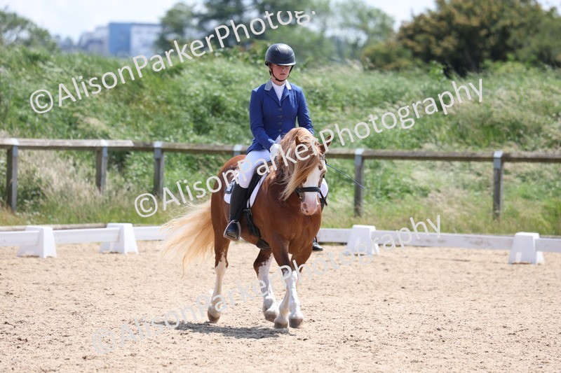 20250614-0766 - Class 4 - Novice 2