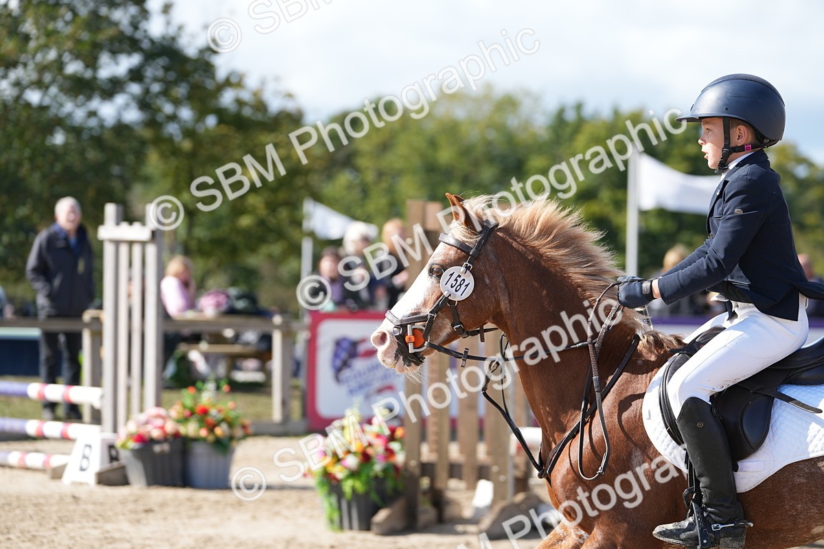 SBM_46530 - J7 - Junior Pony 60cm Championship