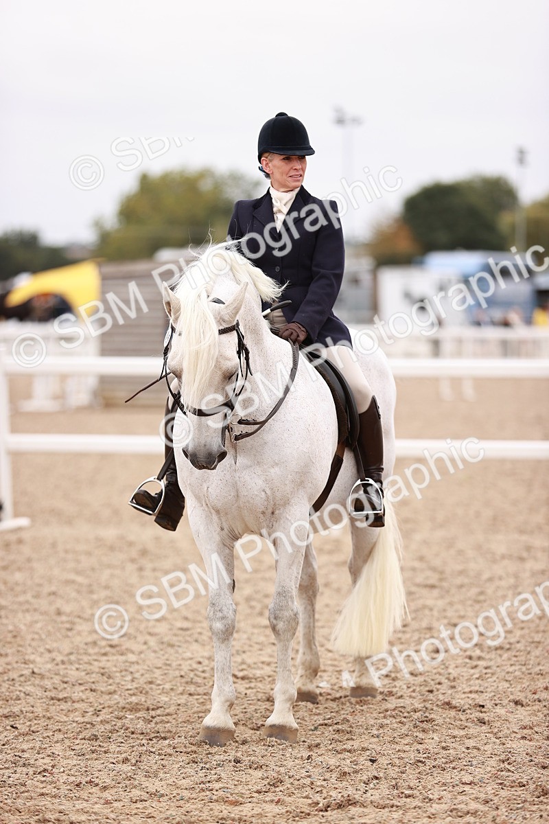 SBM_18999 - Class 422 - Ridden M&M