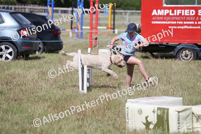 20260906-3425 - Class 34 - Dog Agility