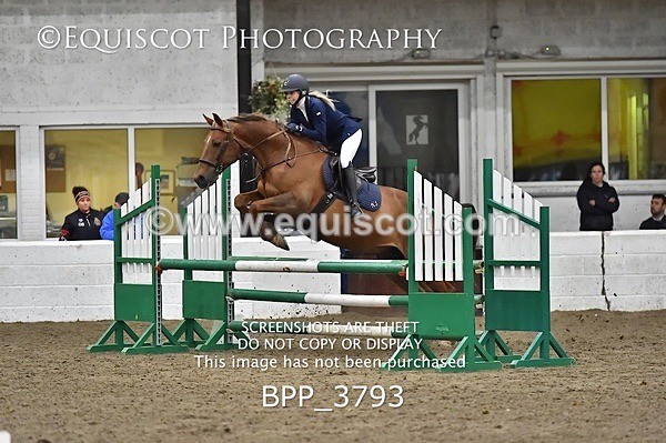 BPP_3793 - FRI CLASS 21 BR NOVICE/90CM