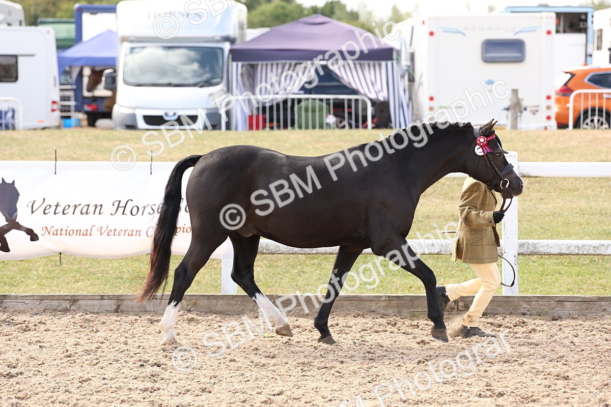 SBM_15051 - Class 209 - IH Veteran Pony