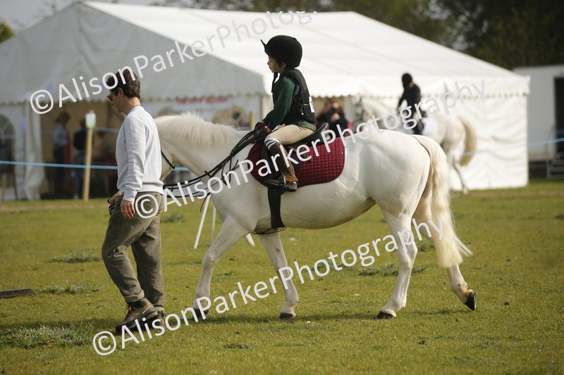 20260426-1004 - Class 1 - Mini Jumping - Lead rein or Assisted