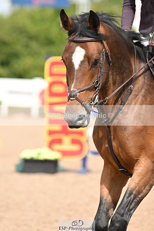 250723-105823-00146 - Cls 1 British Novice and 90cm