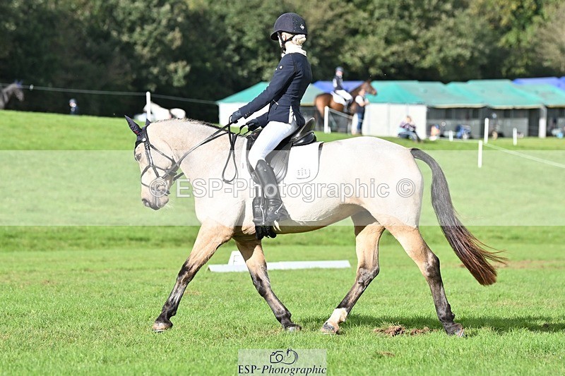 231020-141637-10865 - 664-TEMPLEMORE.WILD.ONE-Bella.Stevens-DR