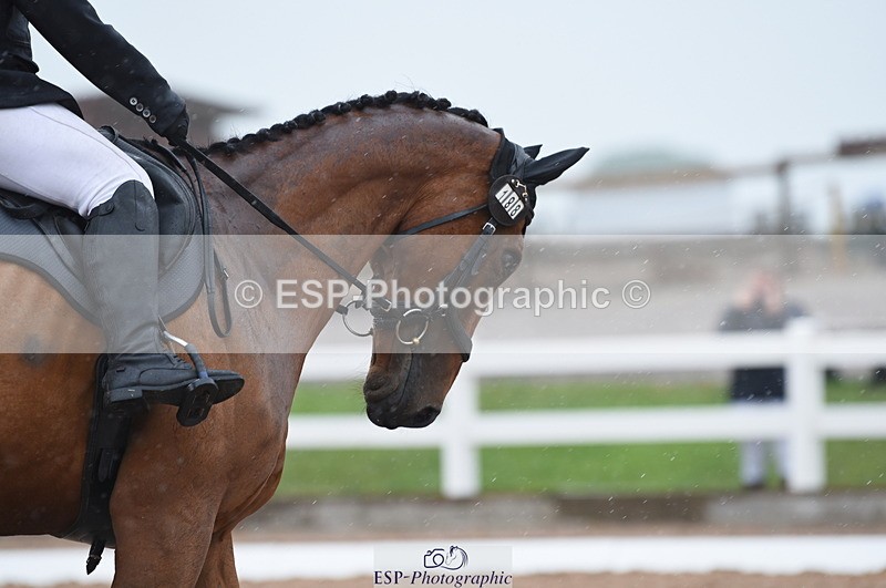 230708A-133516-03028 - Novice 24