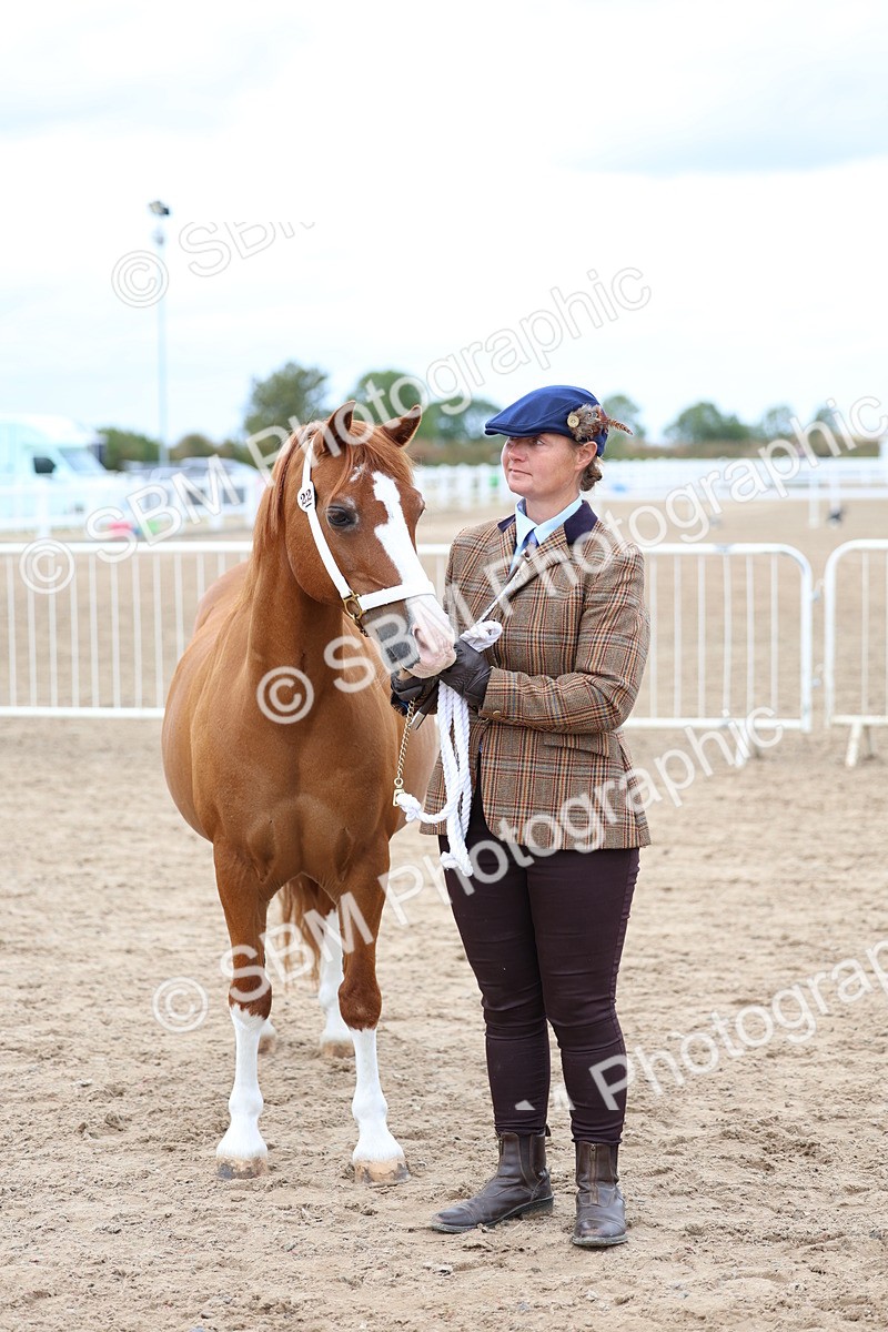 SBM_05917 - Class 29 - IH Veteran Pony