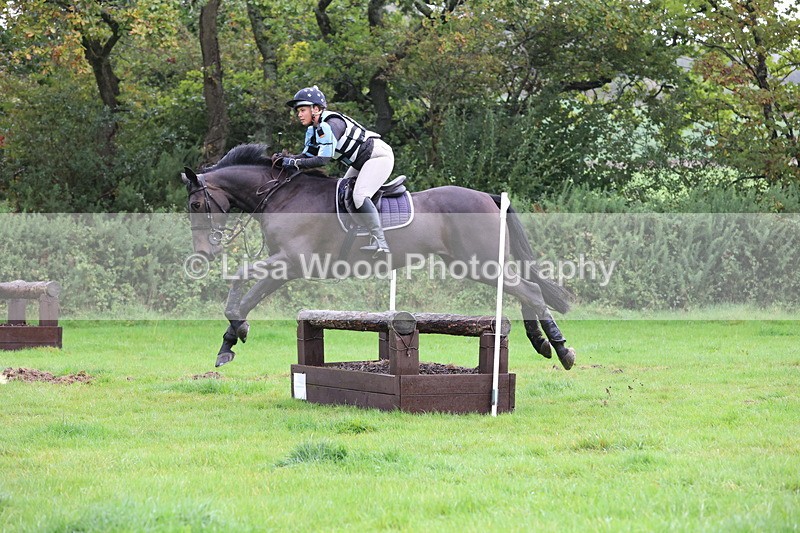 JPP_5404 - Class 4: 80cm: Crossed Logs