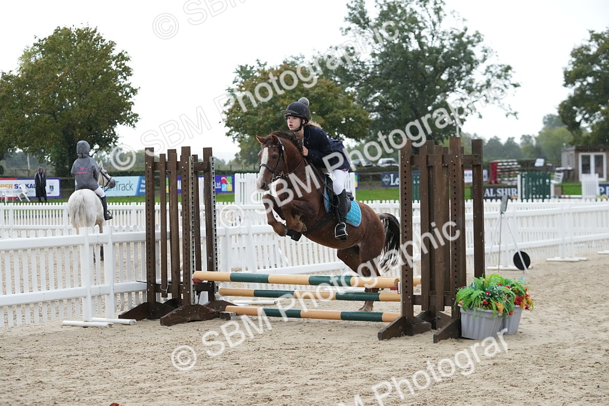 SBM_34001 - J5 - Junior Pony 50cm Championship