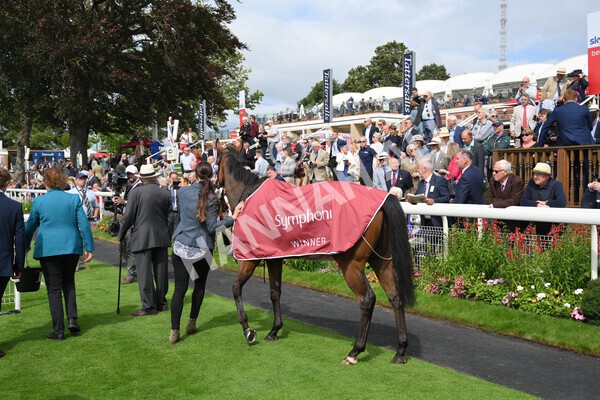 yr18082021r1-99 - Race 1 1.50pm Sky Bet & Symphony Group Stakes