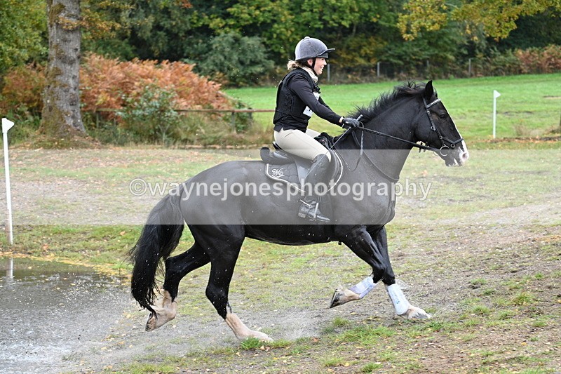 WJ7_3937 - Time 11:37 to 11:48