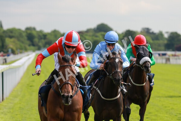 yr21052022r4-31 - Race 4: 3:30pm William Hill Brontë Cup