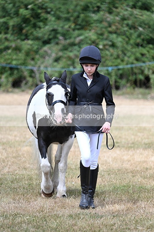 WJ7_1700 - Class 4 Prettiest Mare up to 14.2hh in hand