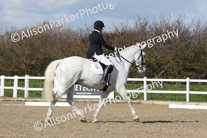 20260314-4891 - CT6 - Elementary 1