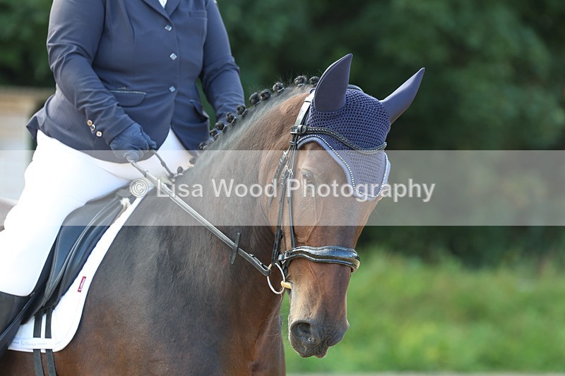 3E7A2046 - Class 1: Intro 4 2024 section A