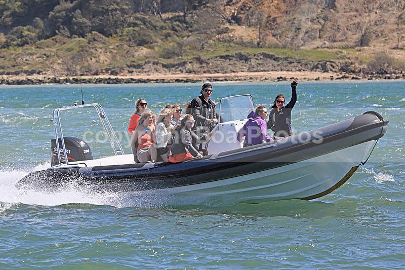 180505 UNNAMED BLACK  WHITE RIB 1Y3A7654 - RIBs, Tenders, Dories, Dinghies
