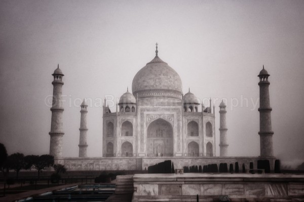tigers-612 - Architecture of India