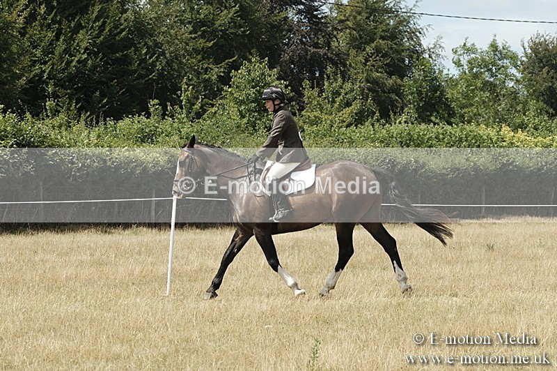 _PJP6016 - BVRC Show 2018 Ring 1