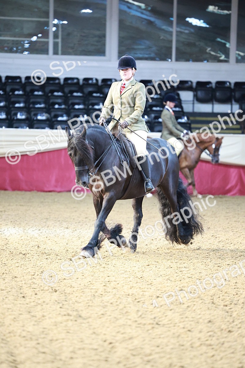 SBM_11840 - Class 102 - Equitation (Best Rider) Adult