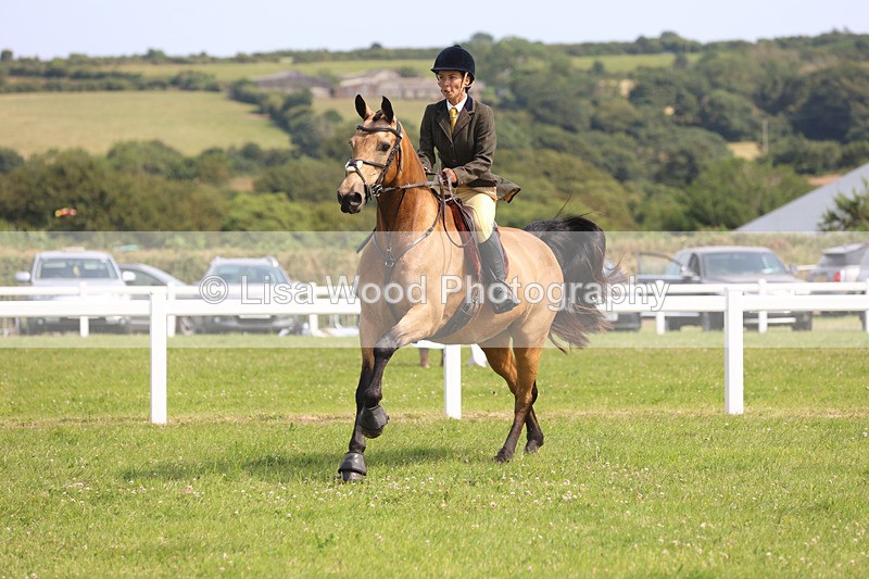 JPP_3726 - Class 23: Working Hunter 80cm