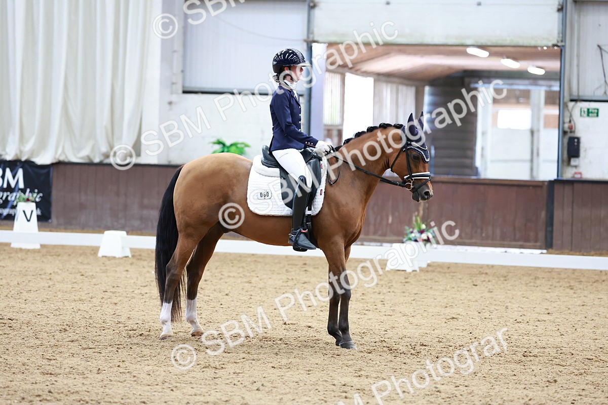 SBM_017287 - Class15 - FEI Pony
