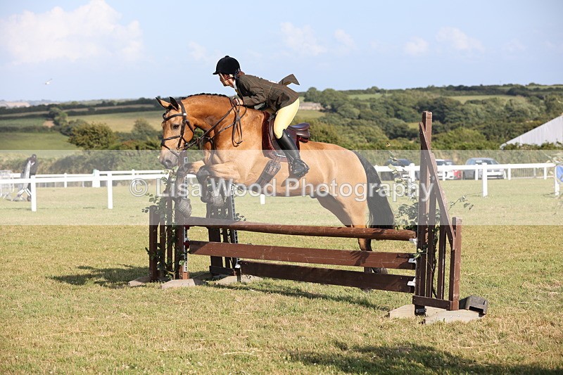 JPP_3203 - Class 21: Working Hunter 80cm