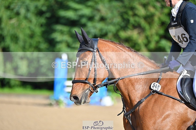 241027-134913-17615 - 546-Jennifer.Jaques-AURELIA.COOL