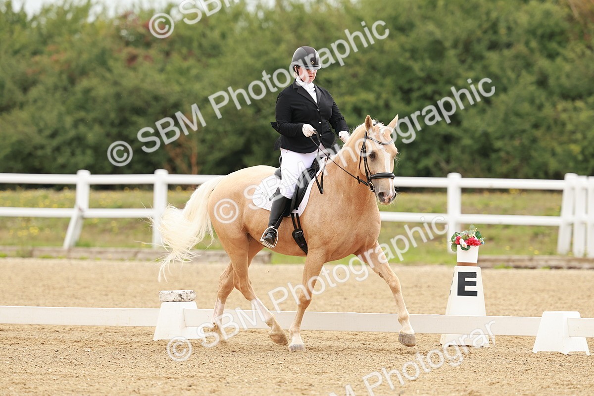 SBM_009115 - Class 12 - Elementary 6 - 9.30-10.34