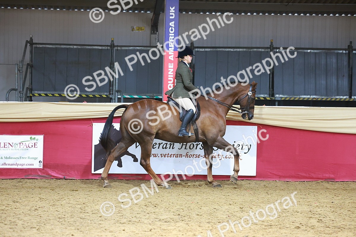 SBM_12738 - HOYS Veteran Qualifier - Ridden Champ